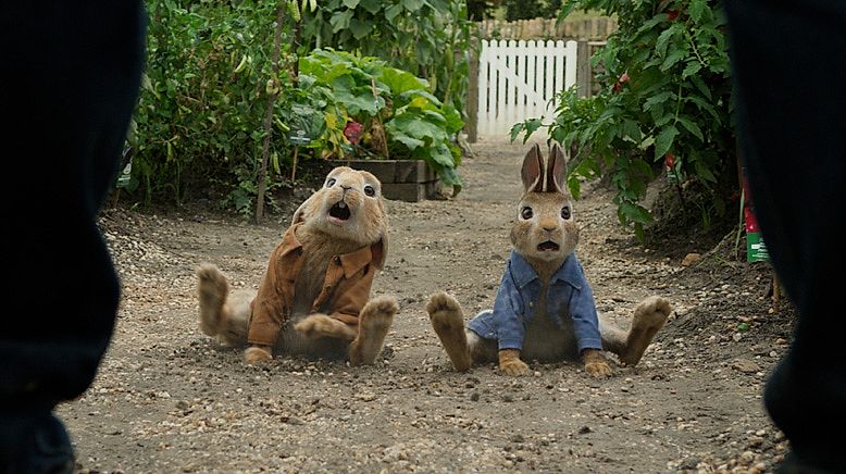 Tired Peter Rabbit Why So Serious? – Ironic Blog